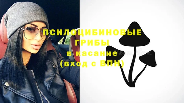 дурь Белокуриха
