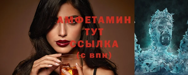 ECSTASY Ельня