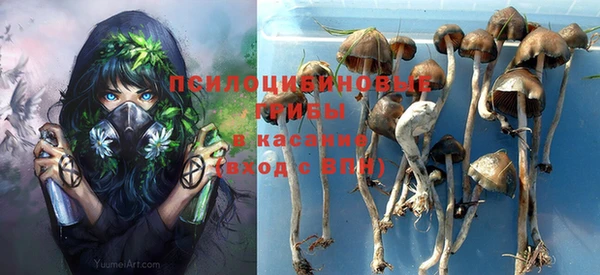 дурь Белокуриха